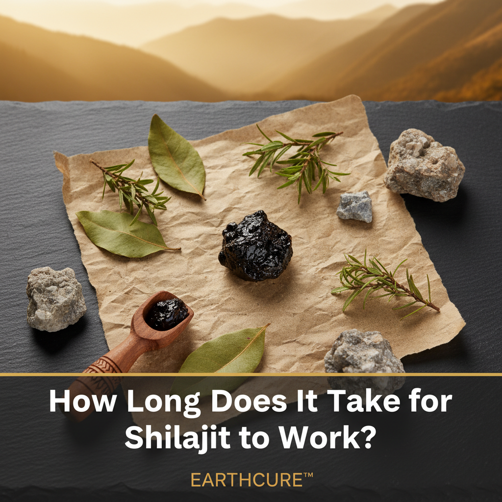 How Long Does Shilajit Take to Work? Your Results Timeline